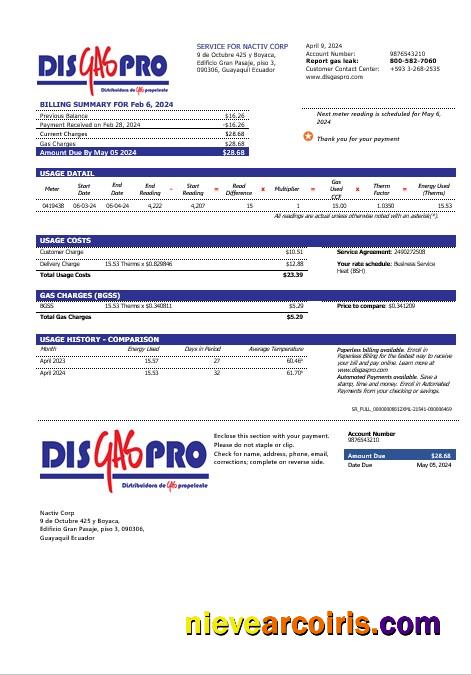 Realistic Ecuador Disgaspro Gas Business Utility Bill Template In Word And Pdf Formats