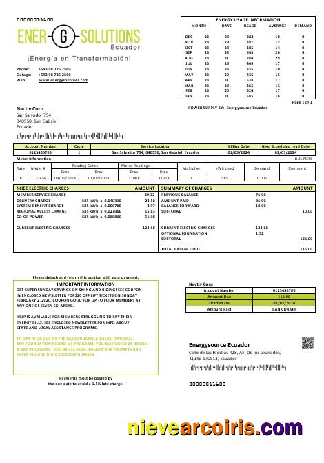 Editable Ecuador Energysource Ecuador Energy Business Utility Bill Template (2)