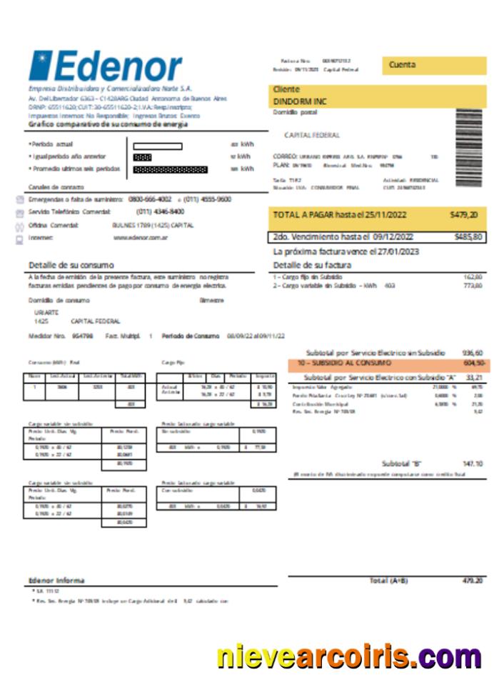 Edenor Easy To Fill Utility Business Bill SCR Template