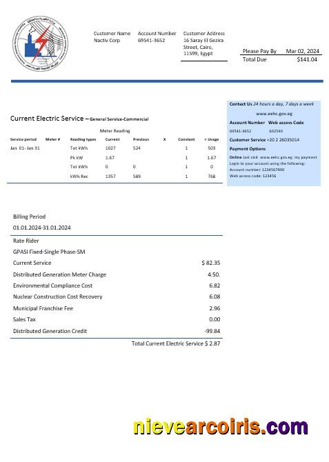 Premium Egypt Egyptian Electricity Business Utility Bill Template In Word And Pdf Formats
