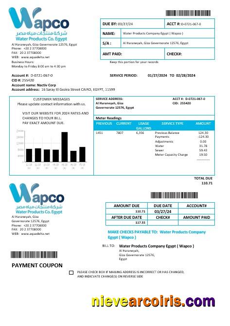 Premium Egypt Water Products Company Egypt Wapco Business Utility Bill Template