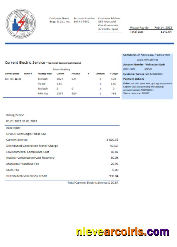 Egyptian Electricity Utility Business Bill, SCR Photolook
