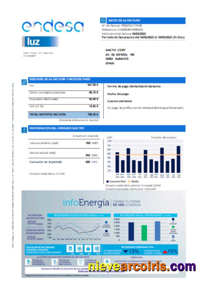 Endesa Luz Utility Business Bill SCR Template