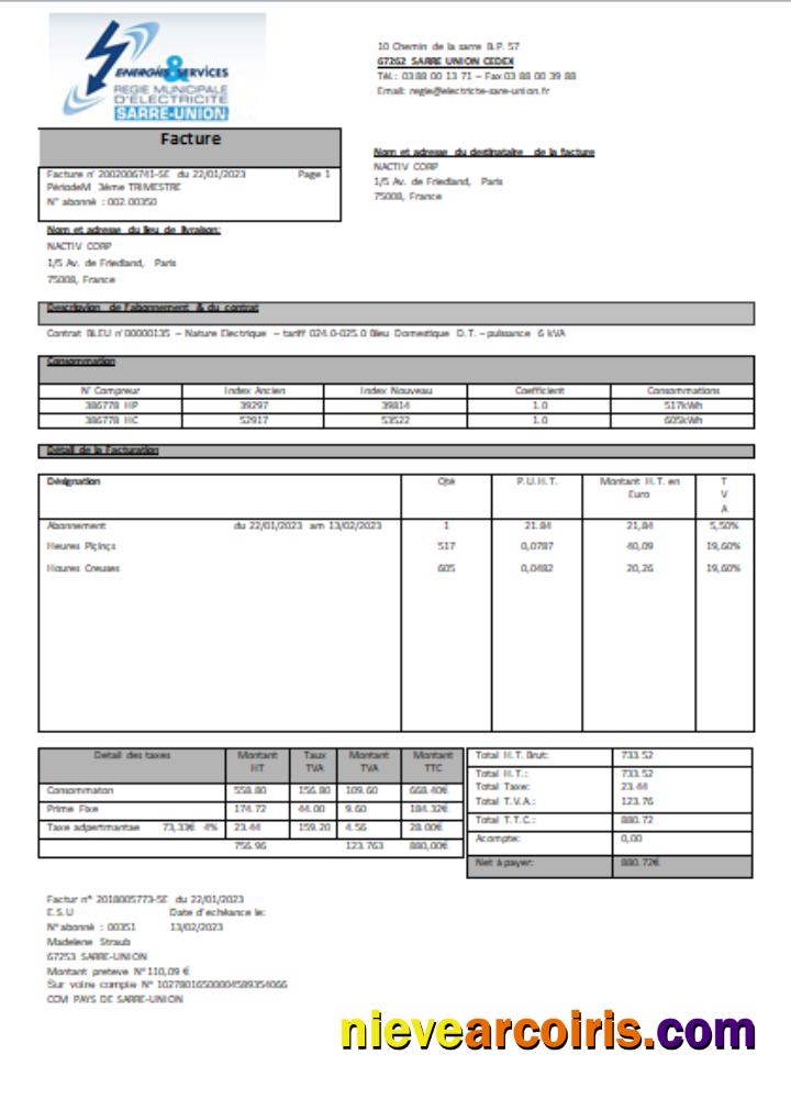 Energies & Services Regie Municipal D Electricite Sarre Union Electricity Utility Business Bill, SCR Sample