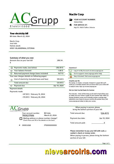 Realistic Estonia AC Grupp OÜ Electricity Business Utility Bill Template In Word And PDF Formats
