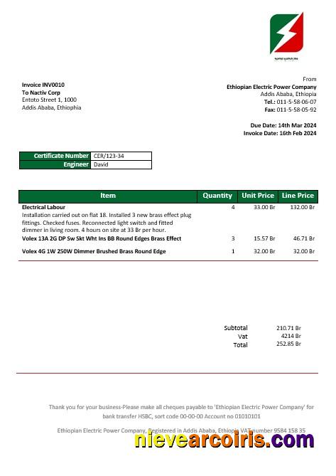 Realistic Ethiopia Ethiopian Electric Power Company Electricity Business Utility Bill Template In Word And PDF Formats1