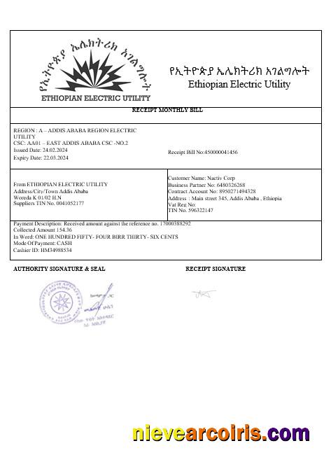 Ethiopian Electric Business Utility Bill In Wordand PDF Formats1 Preview