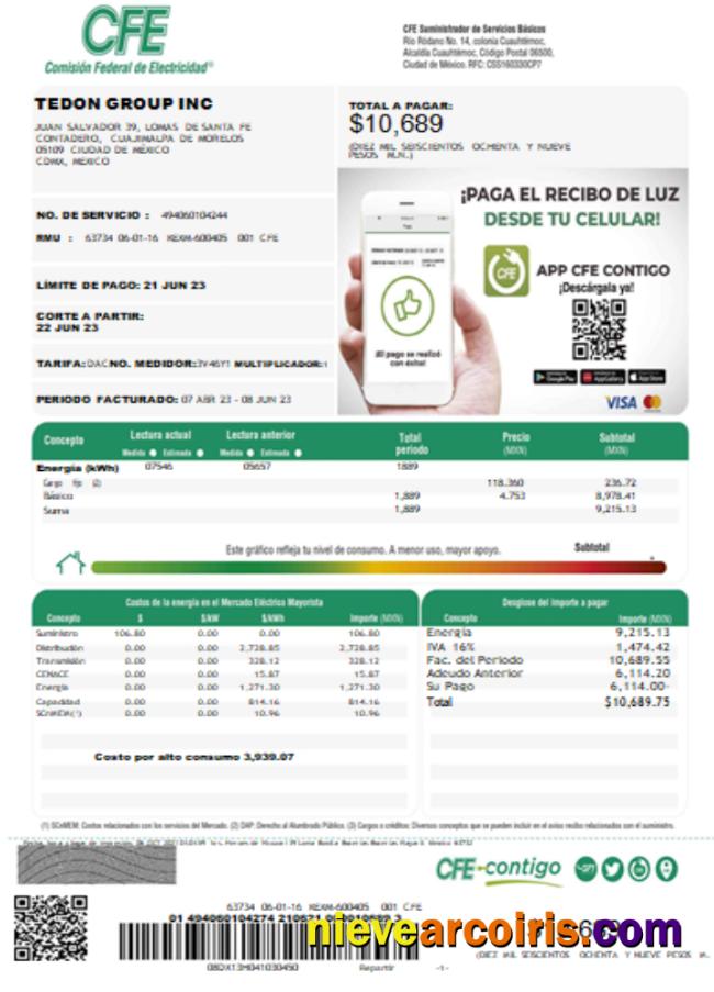 Federal Electricity Commission (CFE) Utility Bill SCR Page 1 Photolook
