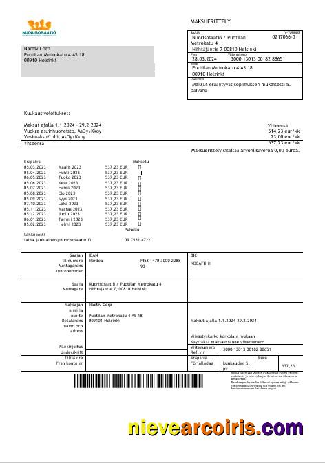 Editable Finland Nuorisosäätiö Youth Foundation Business Bill Template In Word Formats1