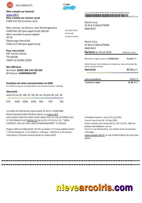 Premium France EDF Proof Of Address Business Utility Bill Template In Word And PDF Formats
