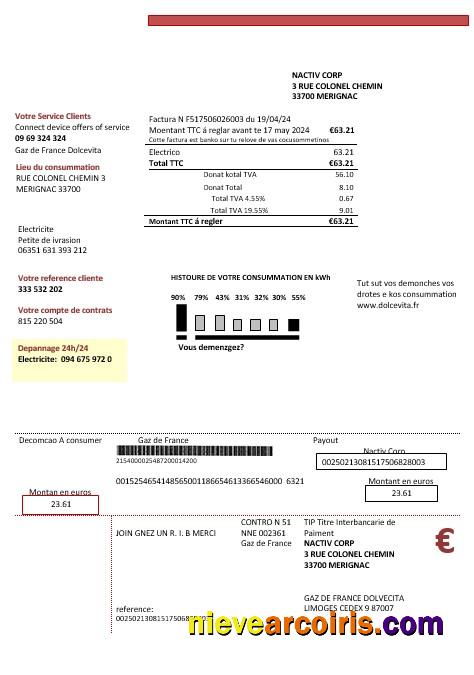 Professional France Gaz De France Dolcevita Business Utility Bill Template In Word And PDF Formats1