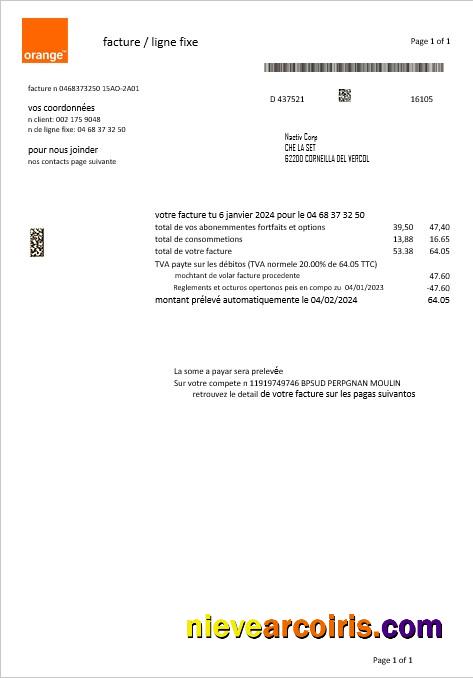Premium France Orange Business Utility Bill Template In Word And PDF Formats1