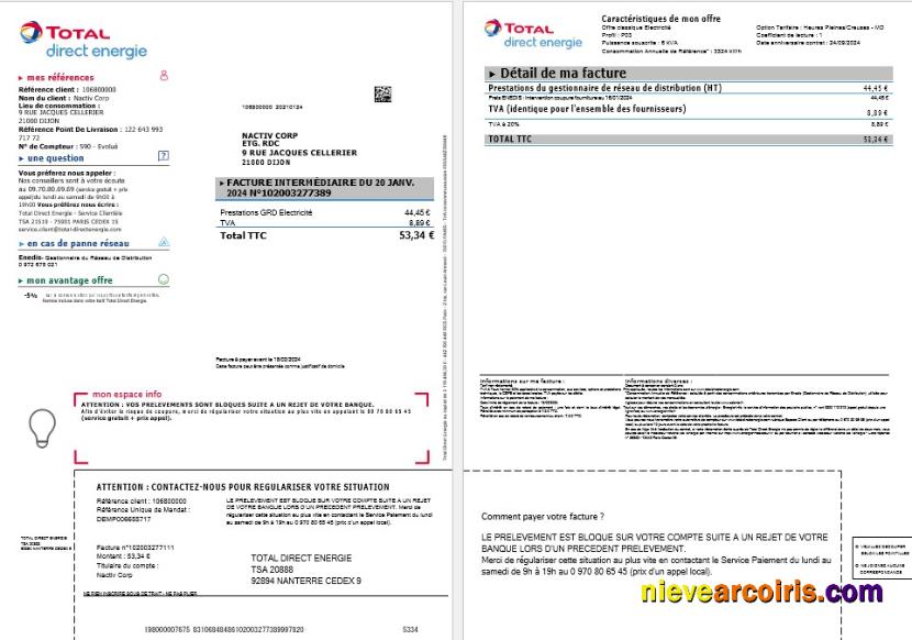 Premium France Total Direct Energie Business Utility Bill Template In Word And PDF Formats1