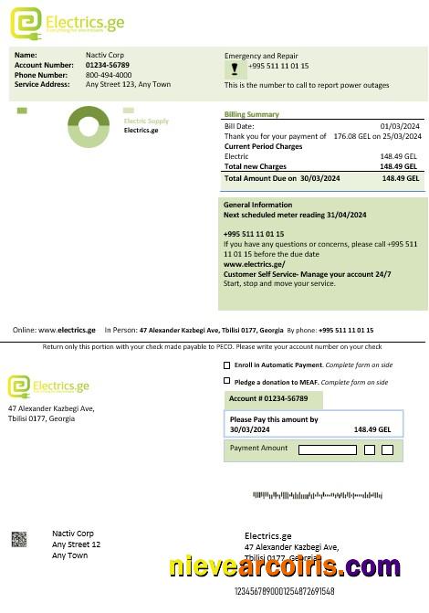 Editable Georgia Electrics.ge Electricity Business Bill Template In Word And PDF Formats1