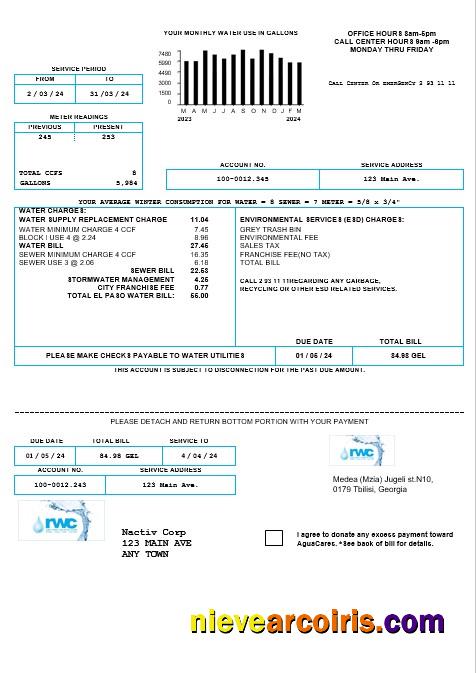 Professional Georgia RWC Water Business Bill Template In Word And PDF Formats1
