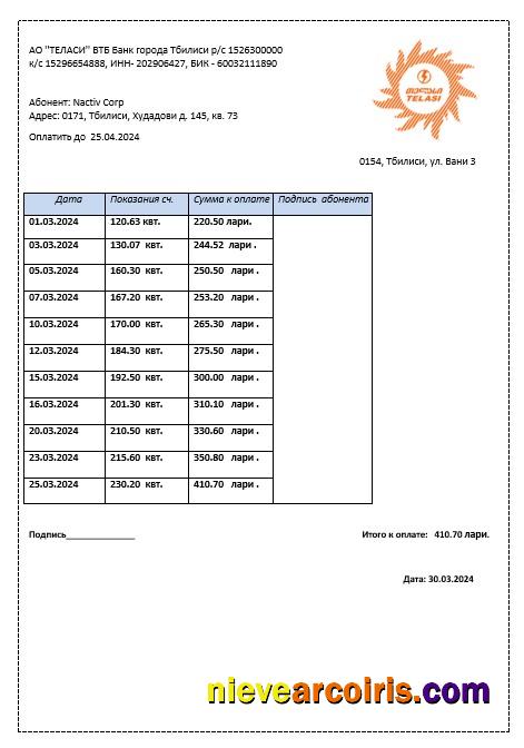 Premium Georgia Telasi Business Utility Bill Template In Word And PDF Formats, Fully Editable1