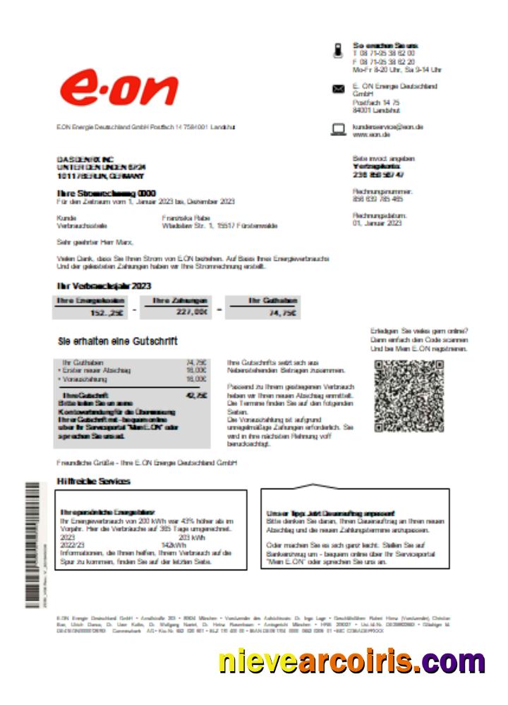 Germany E.ON Energie Electricity Utility Business Bill SCR Preview