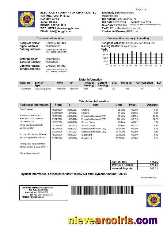 Premium Ghana Electricity Company Of Ghana Business Utility Bill Template In Word And PDF Formats