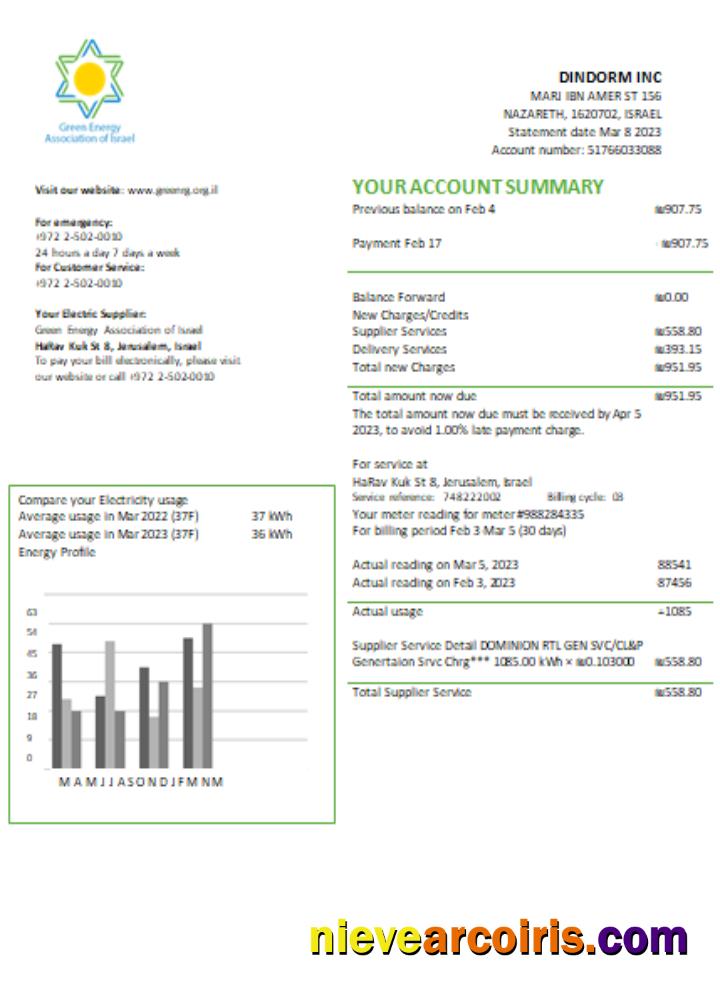 Green Energy Association Of Israel Utility Business Bill SCR Sample