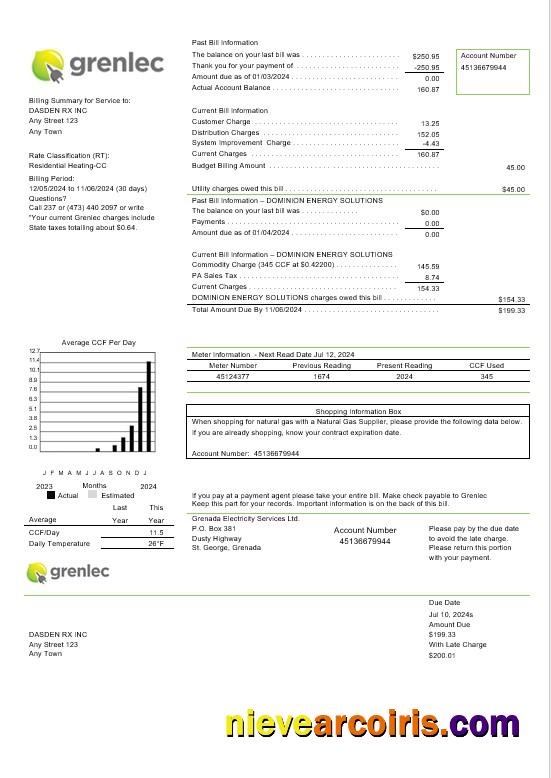 Realistic Grenada Electricity Services Business Utility Bill Word And PDF Template