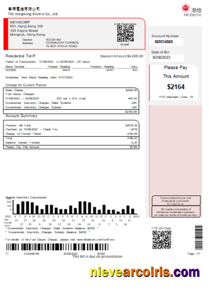 Hongkong Electric Company Utility Business Bill SCR Sample