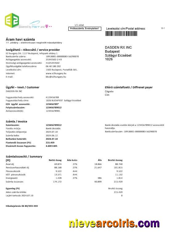 Professional Hungary E2 Business Utility Bill Template In Word And PDF Formats