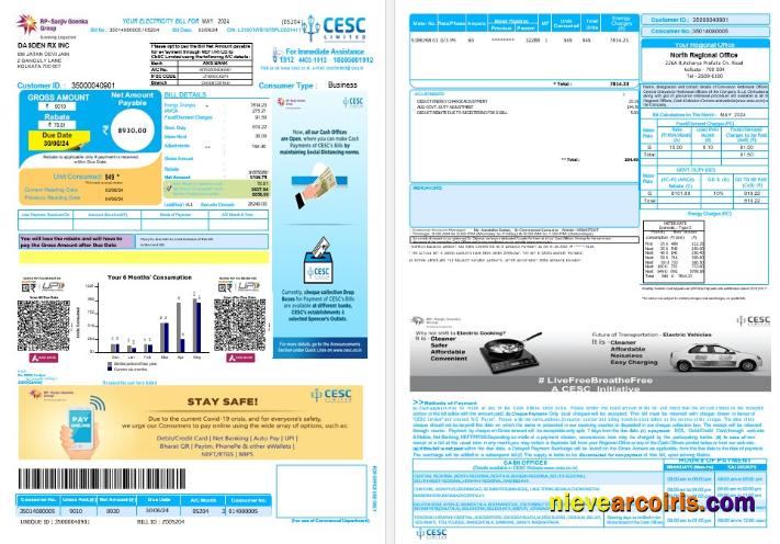 Editable INDIA CESC LIMITED Business Utility Bill Word And PDF Template, Version 2 Các Trang Đã Xóa