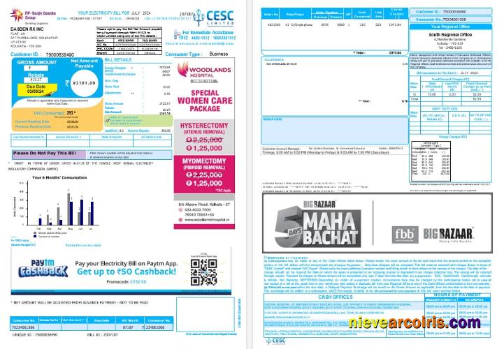 INDIA CESC LIMITED Business Utility Bill Word And PDF Preview