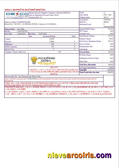 Editable INDIA DECO Business Utility Bill Word And PDF Template