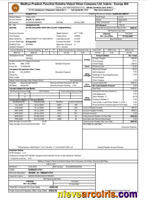 Professional INDIA MPWZ Business Utility Bill Word And PDF Template