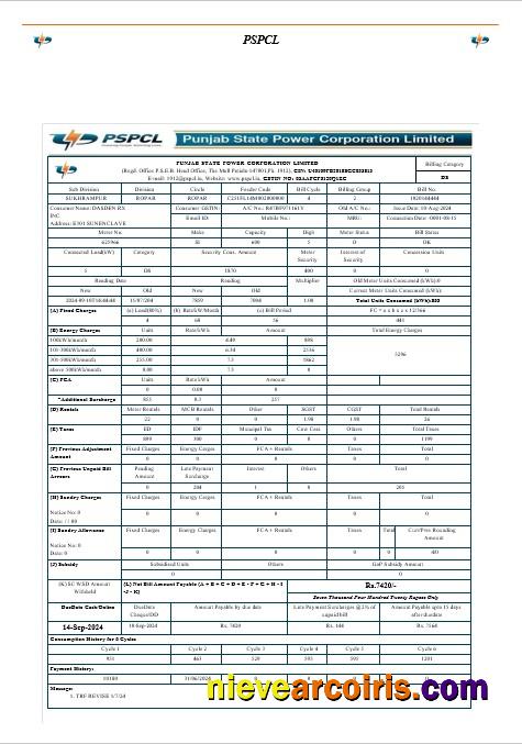 Professional INDIA PSPCL Business Utility Bill Word And PDF Template Các Trang Đã Xóa