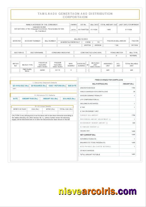 Professional INDIA TAMILNADU Business Utility Bill Word And PDF Template