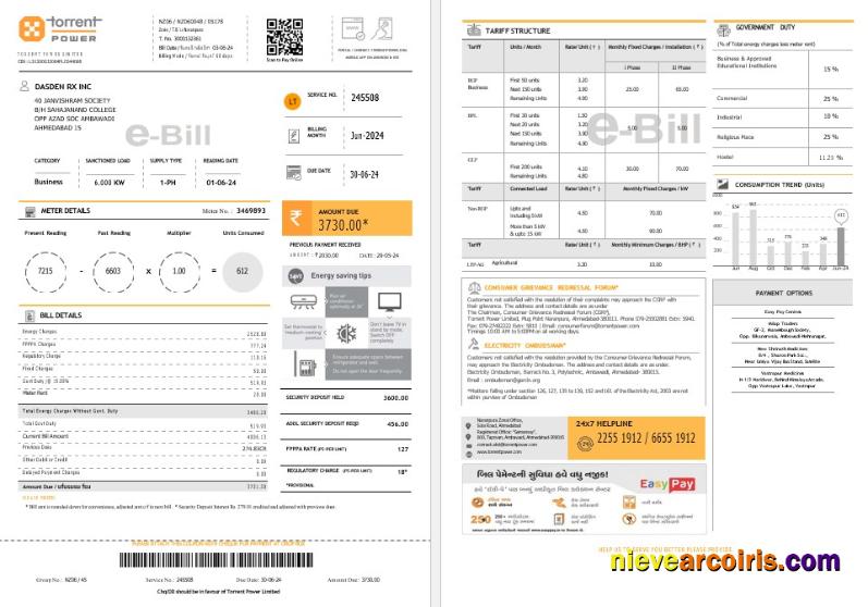 Premium INDIA TORRENT POWER Business Utility Bill Word And PDF Template