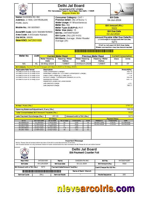 Professional INIDA DELHI JAL BOARD Business Utility Bill Word And PDF Template