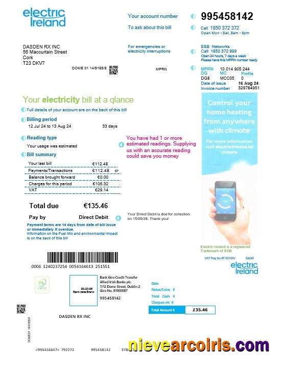 Premium IRELAND ELECTRIC IRELAND Business Utility Bill Word And PDF Template