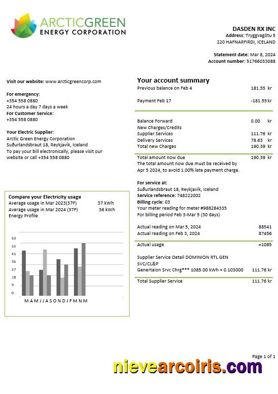 Premium Iceland Arctic Green Energy Corporation Electricity Business Utility Bill Template In Word And PDF