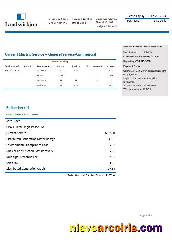 Realistic Iceland National Power Company Of Iceland Landsvirkjun Electricity Business Utility Bill Template In Word And PDF Formats