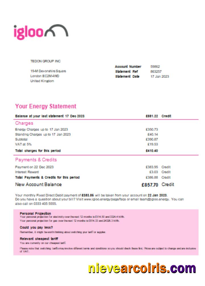 Igloo Energy Utility Business Bill, SCR Sample