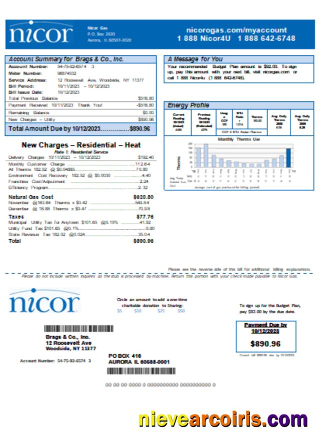 Illinois Nicor Gas Business Utility Bill SCR Sample