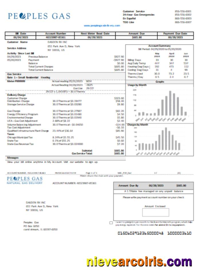 Illinois Peoples Gas Utility Business Bill SCR Sample