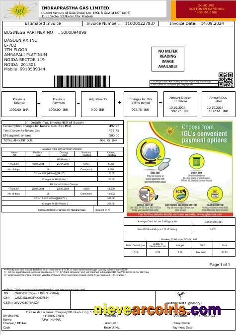Premium India IGL Business Utility Bill Word And PDF Template