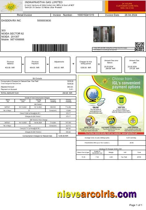 Premium India INDRAPRASTHA GAS LIMITED Business Utility Bill Template In Word And PDF Formats