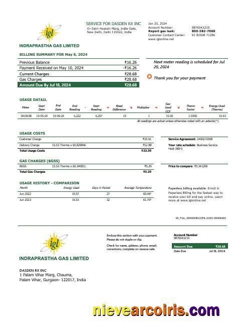 Premium India Indraprastha Gas Business Utility Bill Template In Word And PDF Formats