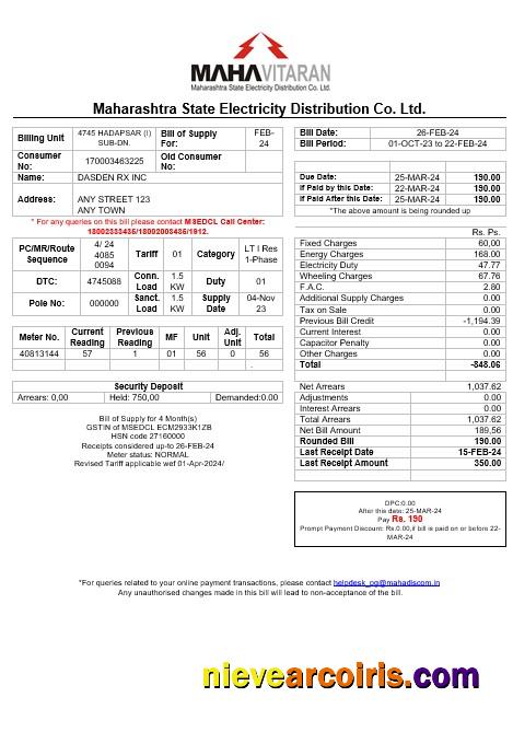 Premium India Mahavitaran Co Ltd Business Utility Bill Template In Word And PDF Formatս