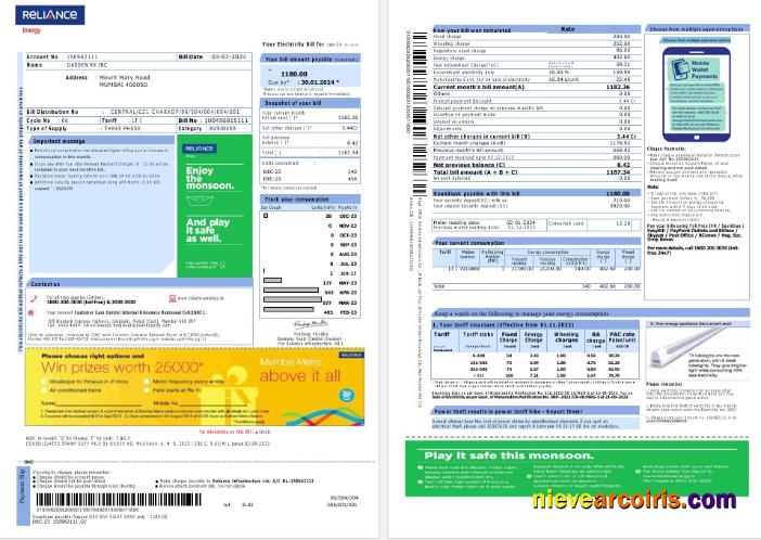 Realistic India Reliance Energy Business Utility Bill Word And PDF Template, 2 Pages