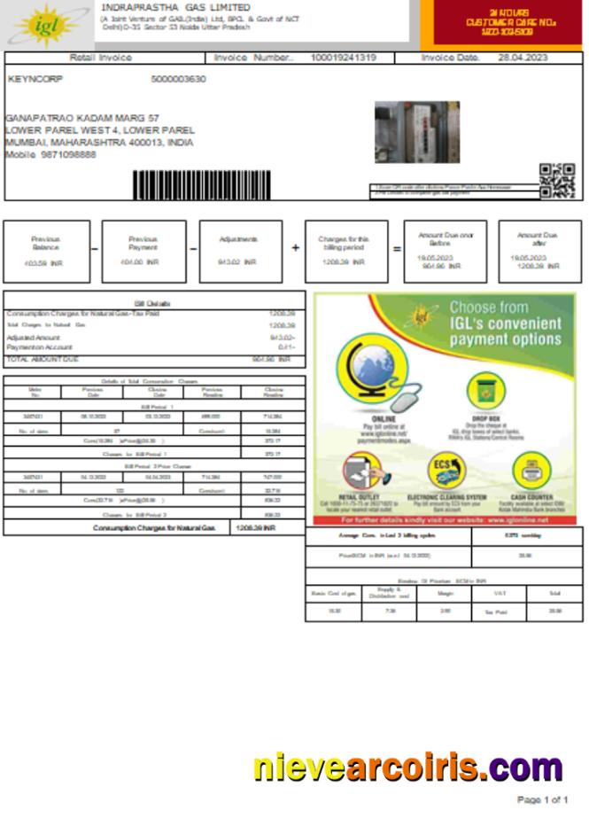 Indraprastha Gas Limited (IGL)utility Business Bill, SCR Template