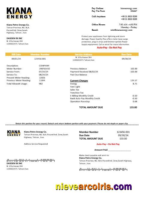 Editable Iran Kiana Petro Energy Co Business Utility Bill Template In Word And PDF Format