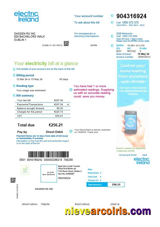 Professional Ireland Electric Ireland Business Utility Bill Template In Word And PDF Formats