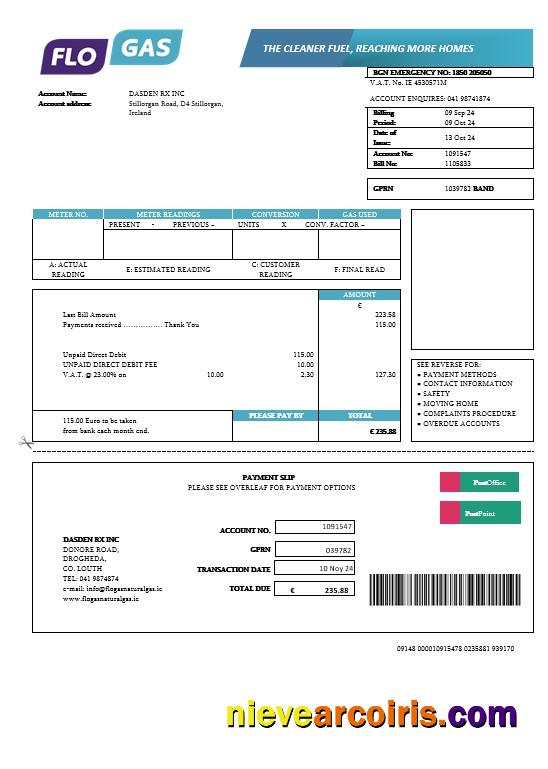 Premium Ireland Flogas Natural Gas Business Utility Bill Template In Word And PDF Formats