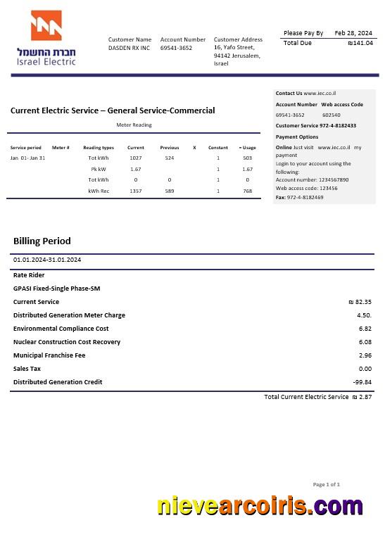 Premium Israel Electric Corporation Business Utility Bill Template In Word And PDF Formats